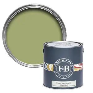 Farrow & Ball Dead Flat Mixed Colour 80 Saxon Green 5 Litre