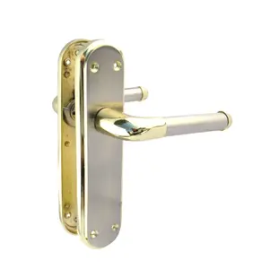 Two Tone Lever Latch Handle Brass and Satin