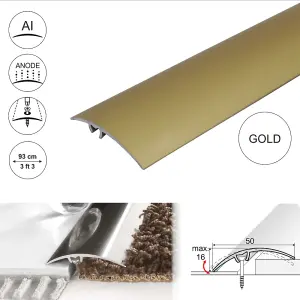 Value 5 Pack A65 50mm Anodised Aluminium Door Threshold Strip Gold 0.93m