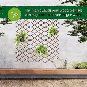 Wooden Expanding Garden Trellis - 180cm x 25cm with Hooks for Climbing Plants, Weather-Resistant for Outdoor Spaces