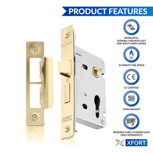 XFORT Polished Brass Euro Profile Sashlock 75mm