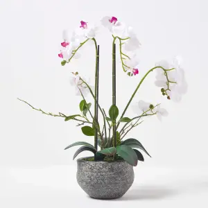 Homescapes White Orchid 52 cm Phalaenopsis in Cement Pot Extra Large, 5 Stems