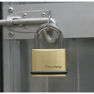 Durable 30mm Brass Padlock with 5mm Hardened Steel Shackle and 2 Keys