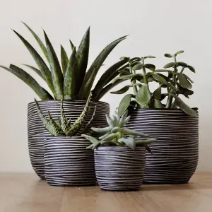 Capi 4 Piece Vase Set Nature Rib Anthracite