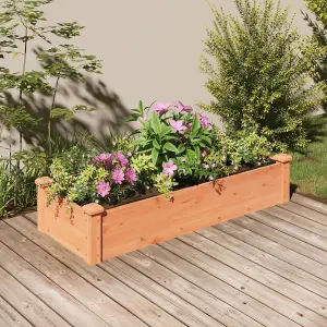 Berkfield Garden Raised Bed with Liner Brown 120x45x25 cm Solid Wood Fir