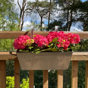 Zinc Balcony Hanging Planters (Set of 2)