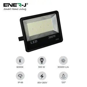 LED SMD Non PIR Floodlight IP65 300W 30000Lm, 6000K