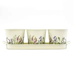 Set of 3 Wildflower Design Metal Planters with Tray