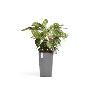 Rotterdam Medium Tall Vase Ecopots