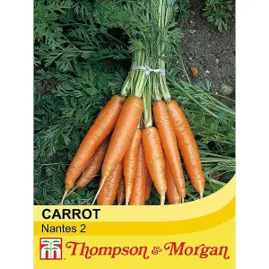 Organic Carrot Nantes 2 1 Seed Packet