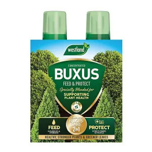 Westland Buxus 2 In 1 Concentrate Plant Food Feed & Protect 2 x 500ml Topiary