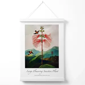 Vintage Floral Exhibition -  Flowering Plant Poster with Hanger / 33cm / White