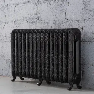 Arroll Daisy Cast iron Black 15 Column Radiator, (W)1009mm x (H)597mm