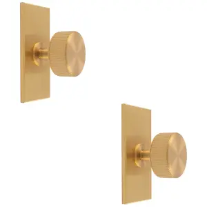 2 PACK - Reeded Radio Cabinet Door Knob & Matching Backplate Lined Satin Brass 76 x 40mm