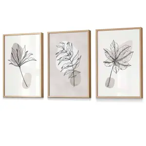 Set of 3 Grey and Beige Botanical Sketch Leaves Wall Art / 42x59cm (A2) / Oak Frame