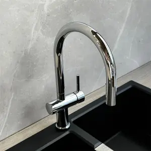 Liquida W19CH Single Lever Pull Out Head Chrome Kitchen Mixer Tap