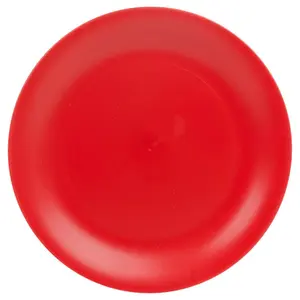 Teal  6 Pcs Unbreakable Reusable Coloured Plastic Dinner Plates Kids Party Tableware Red