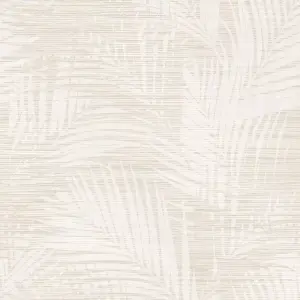 Exclusive Cream & Beige Tropical Palm Leaves Textured Wallpaper fd24402