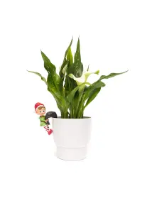 Pot Buddies Christmas Naughty Elf Plant Pot Hanger