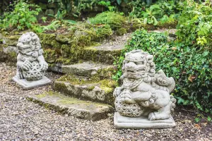 Stunning Pair of Large Foo Dogs statues