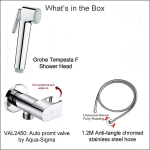 The Grohe Grohe Tempesta-F Bidet shower with SAFETY isolation valve.