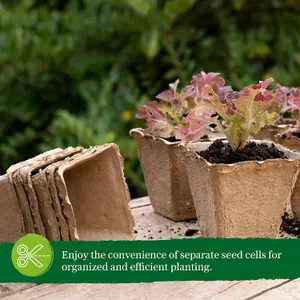 12-Pack Seed Trays (120 Cells) for Seedlings, Germination, Transplanting - Biodegradable, Weather-Resistant with Labels