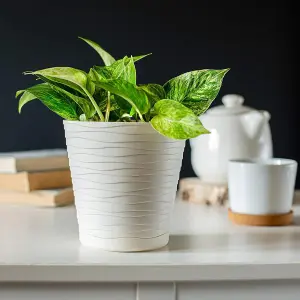 Plant Pot Flowerpot Wave Plastic Crystal Modern Decorative Cream 25cm