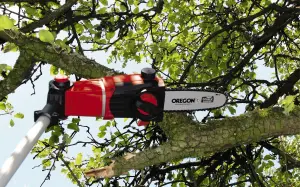 Einhell 17cm Cordless Polesaw High Reach Chainsaw Up to 2.77 Metres Height Power X-Change GE-LC 18 Li T-Solo - Body Only