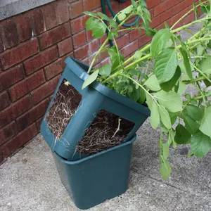 Potato Gro-Pot Patio Vegetable Patio Planter - Single