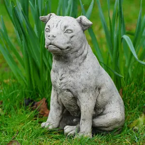 Staffordshire Bull Terrier Dog Stone Statue Staffie Puppy Outdoor Garden Ornament Decoration