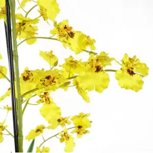 105cm Oncidium Orchid Yellow in Stoneware Planter