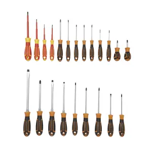 Magnusson 22 piece Standard Mixed Screwdriver set