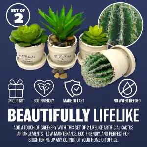 2 X Ceramic Flowers & Garden Pots With Succulents Plants Home Decor Xmas Gift