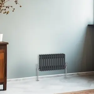 Right Radiators 300x605 mm Horizontal Traditional 2 Column Cast Iron Style Radiator Anthracite