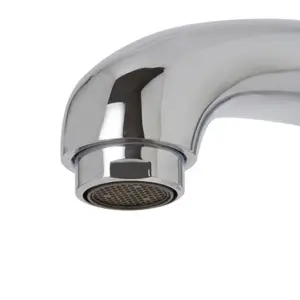 Aubery Chrome effect Kitchen Monobloc Tap