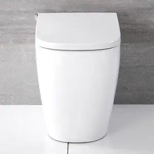 Floor Standing Back to Wall Japanese Style Bidet Toilet