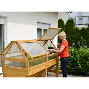 VegTrug Medium Cold Frame - Natural