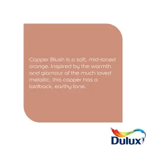 Dulux Easycare Kitchen Copper Blush Matt Wall paint, 2.5L