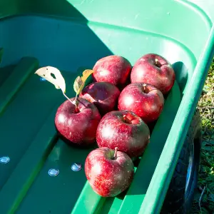 Komodo Green Garden Dump Trolley