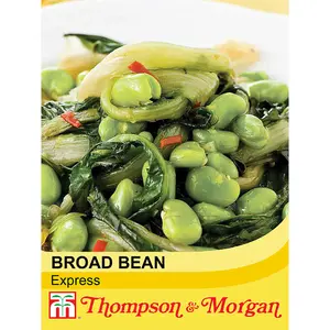 Broad Bean Express 1 Seed Packet (30 Seeds)