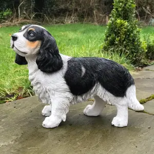 Large (31cm) Cavalier King Charles Spaniel figurine, heavy weight,  home or garden decoration, gift boxed