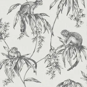 Superfresco Easy Saimiri Grey Monkey Smooth Wallpaper