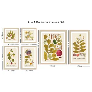 Arthouse Botanical Neutral Tones Mixed size Canvas art, Set of 6