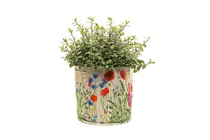 Iona Buchanan Meadow Fabric Eco 23L Pots - L45 x W45 x H27 cm - Cream