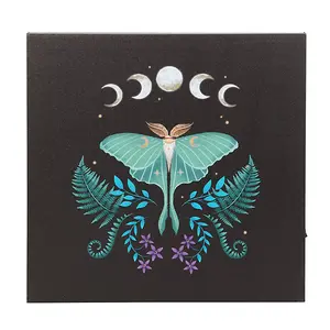 Light up Luna Moth Canvas Print 30 cm