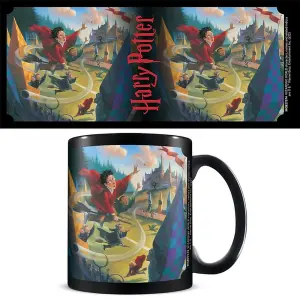 Harry Potter Quidditch Mug Black/Yellow/Blue (One Size)