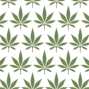 Galerie Mulberry Tree Green White Palm Leaf Wallpaper Roll