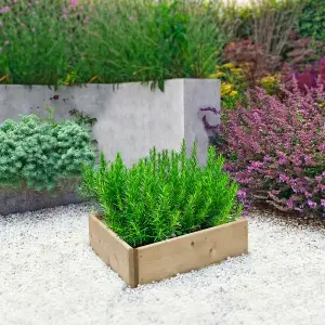 Greena Triangular Raised Bed 15 cm High, 60cm each side