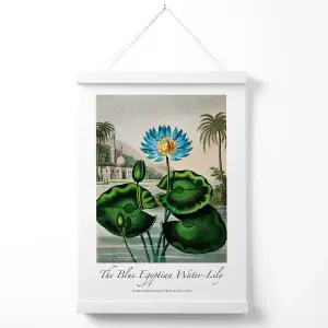 Vintage Floral Exhibition -  Egyptian Water Lily Poster with Hanger / 33cm / White