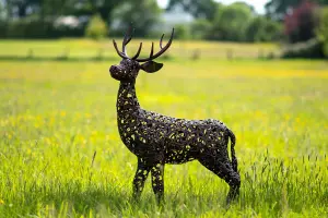 Bronze Deer Life Size Garden Sculpture